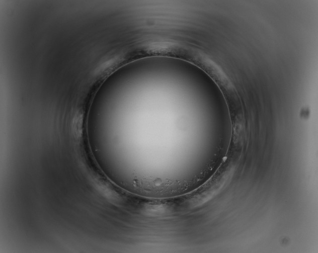 X0000103490454200809121719