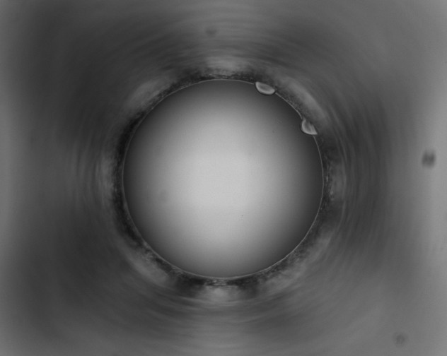 X0000103490455200809121719