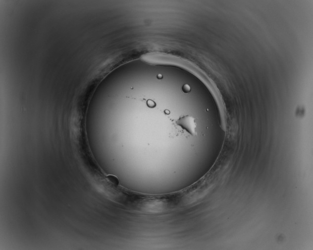 X0000103490456200809121719