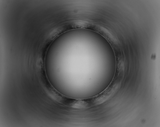 X0000103490459200809121719