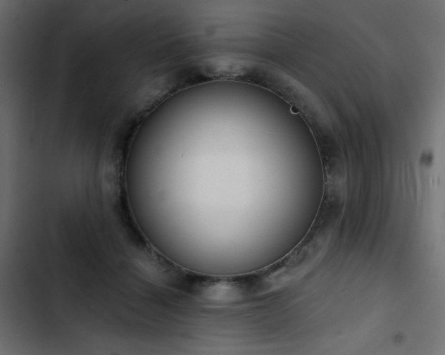 X0000103490460200809121719