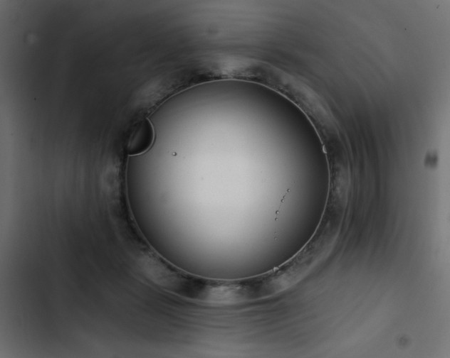 X0000103490461200809121719