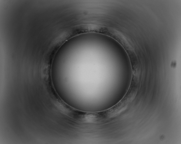 X0000103490462200809121719