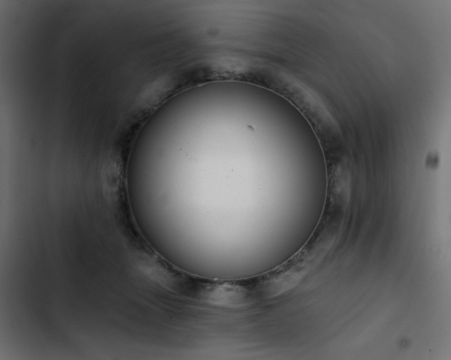 X0000103490463200809121719