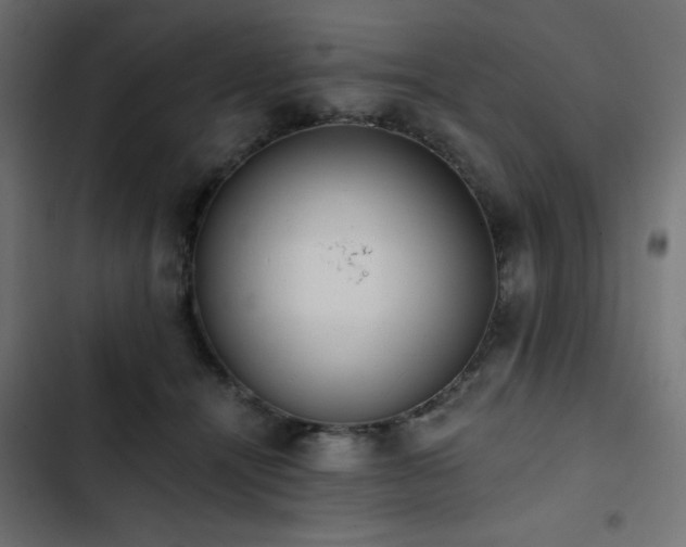 X0000103490464200809121719