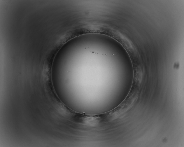 X0000103490465200809121719