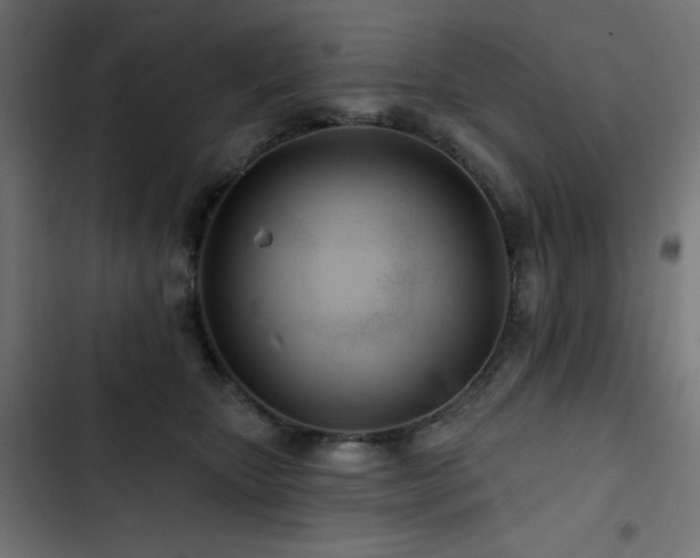 X0000103490467200809121719