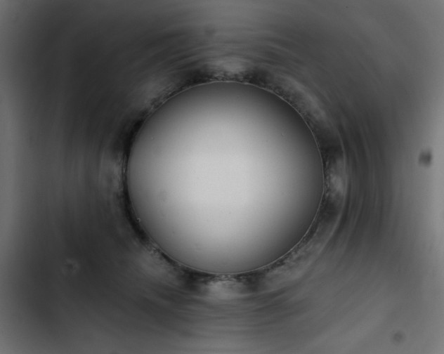 X0000103490468200809121719