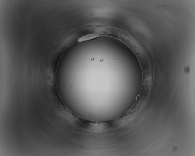 X0000103490469200809121719