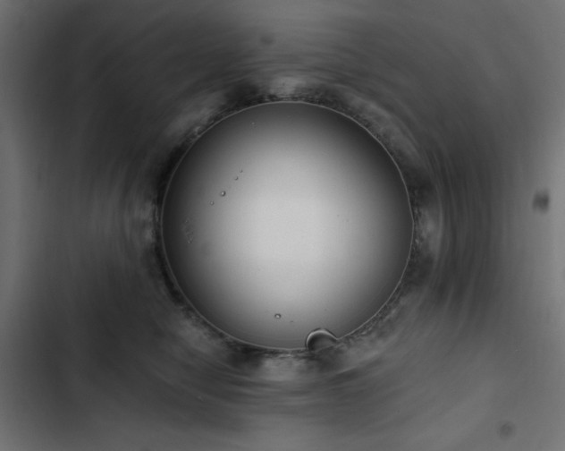 X0000103490470200809121719