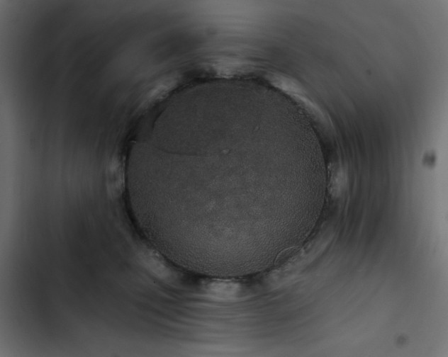 X0000103490471200809121719