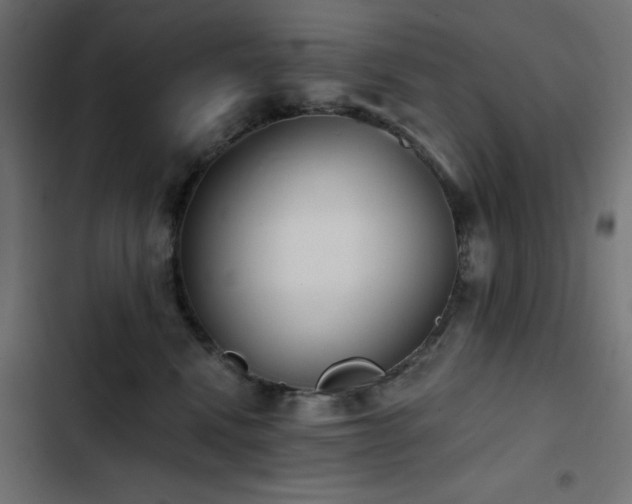 X0000103490472200809121719