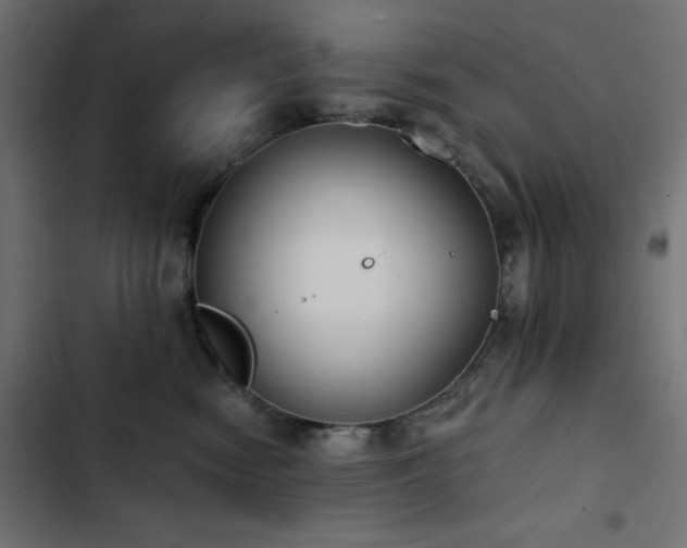 X0000103490474200809121719