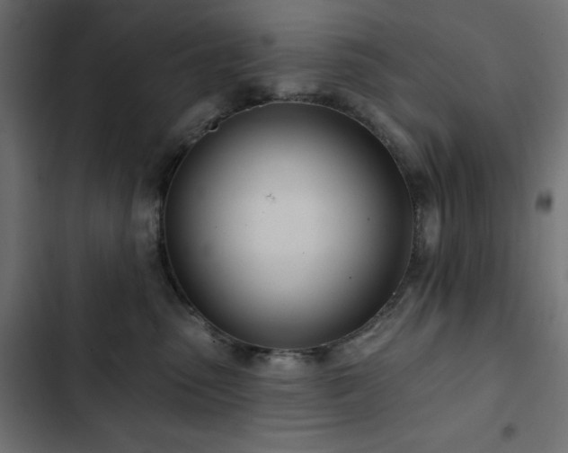 X0000103490475200809121719