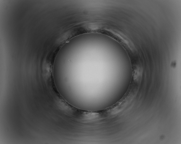 X0000103490476200809121719