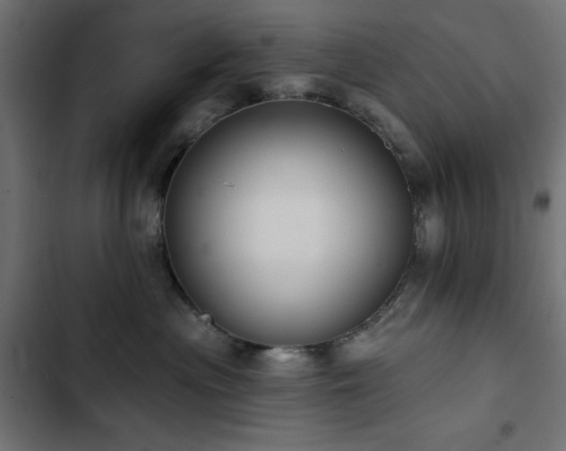 X0000103490477200809121719