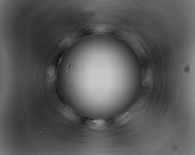 X0000103490478200809121719