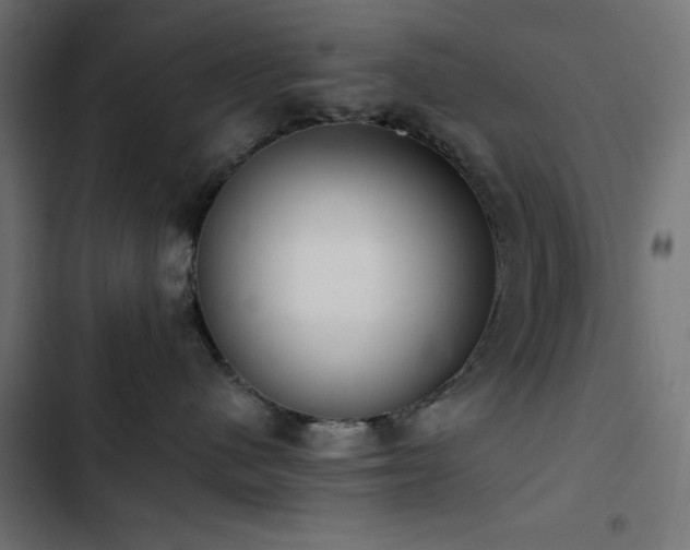 X0000103490480200809121719