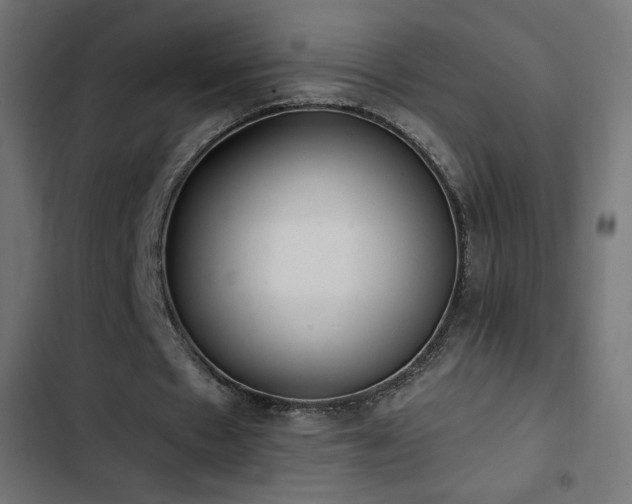 X0000103490481200809121718