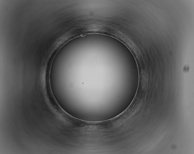 X0000103490482200809121718