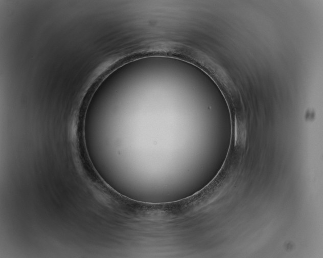 X0000103490483200809121718