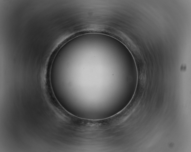 X0000103490484200809121718