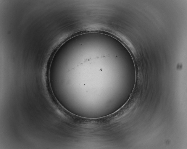 X0000103490485200809121718