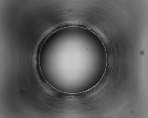 X0000103490486200809121718