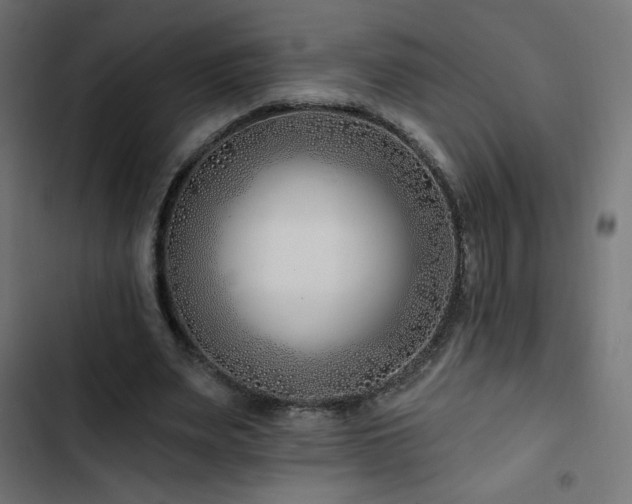 X0000103490487200809121718