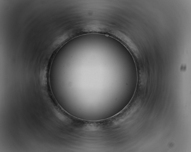 X0000103490489200809121718