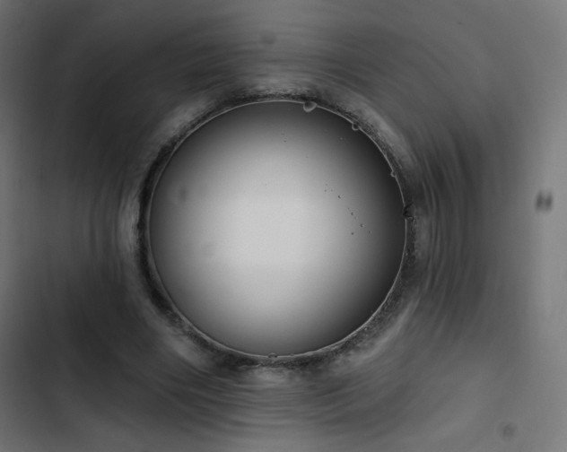 X0000103490490200809121718