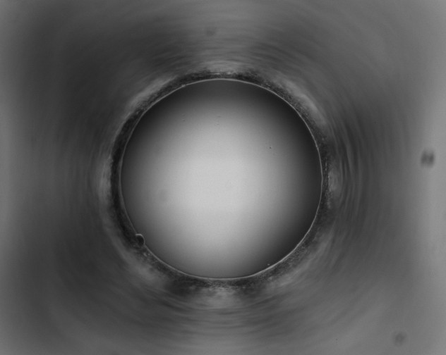 X0000103490492200809121718