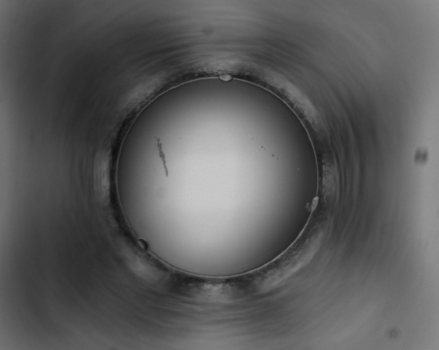 X0000103490493200809121718