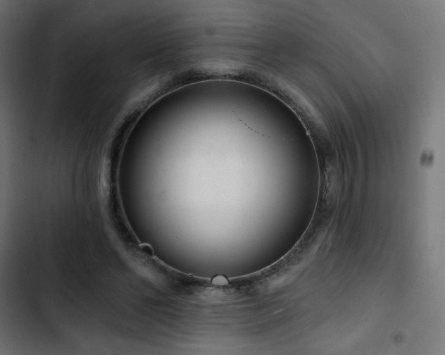 X0000103490494200809121718