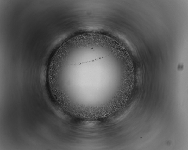 X0000103490495200809121718