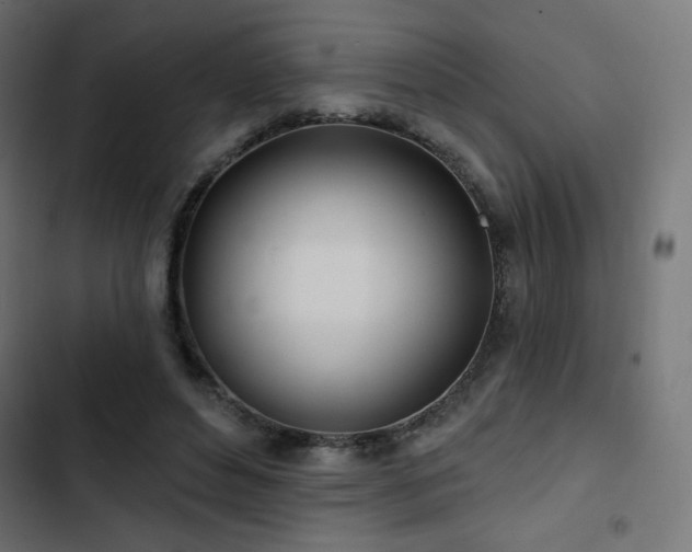 X0000103490496200809121718