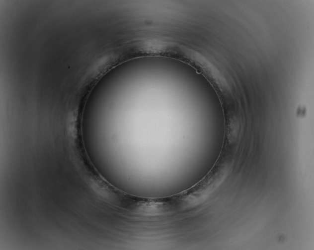 X0000103490497200809121718