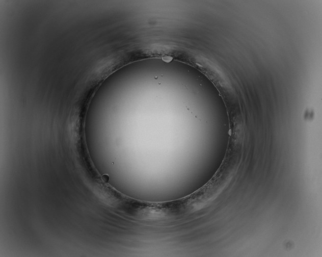 X0000103490498200809121718