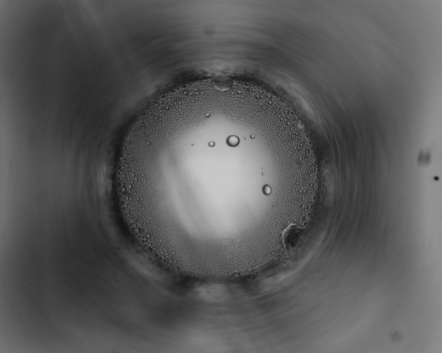 X0000103490499200809121718