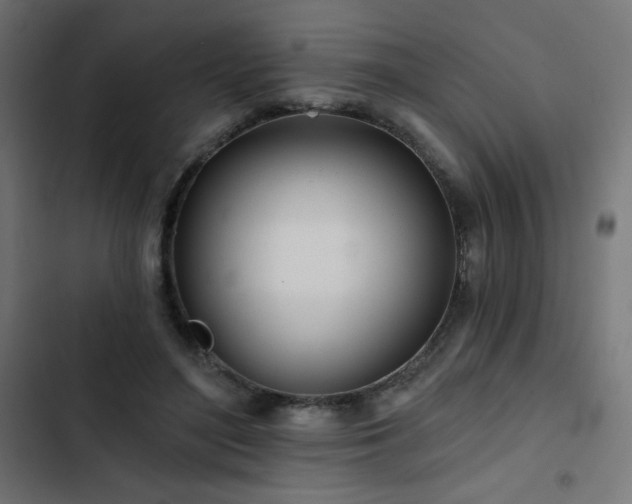 X0000103490500200809121718