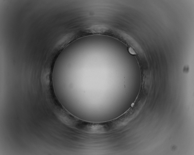 X0000103490501200809121718