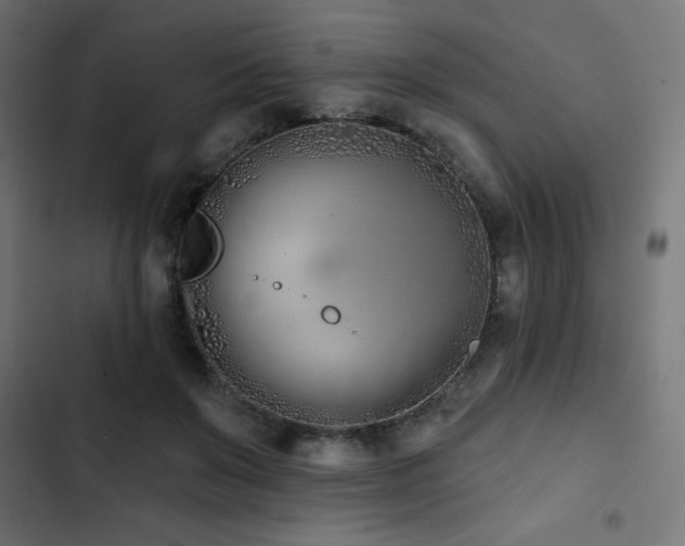 X0000103490503200809121718