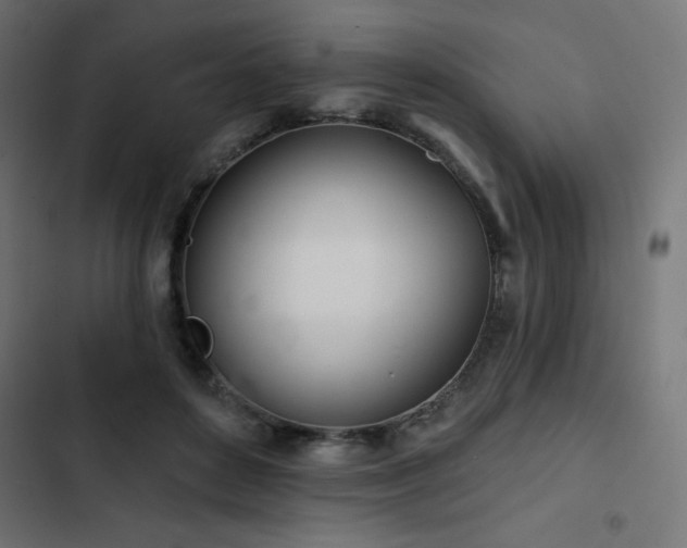 X0000103490504200809121718