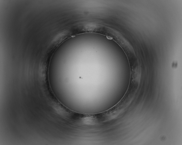 X0000103490505200809121718