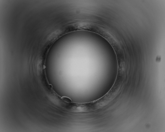 X0000103490506200809121718