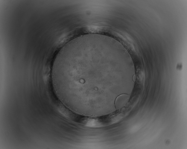 X0000103490507200809121718