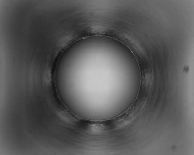 X0000103490508200809121718