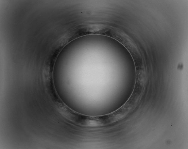 X0000103490510200809121718