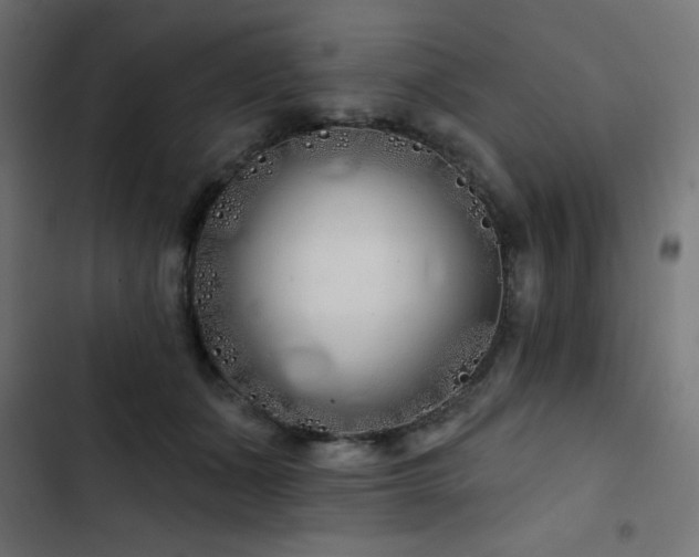 X0000103490511200809121718