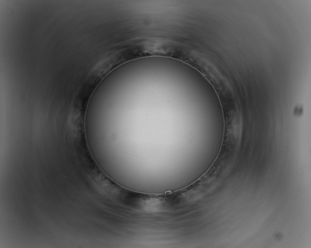 X0000103490513200809121718